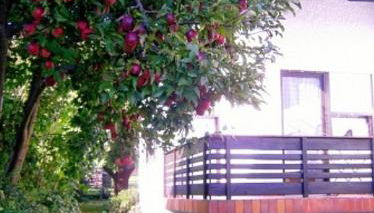 Ferienwohnung Keckl - Foto 2