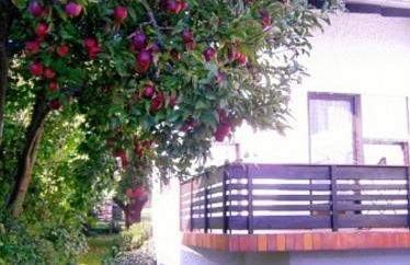 Ferienwohnung Keckl - Foto 2