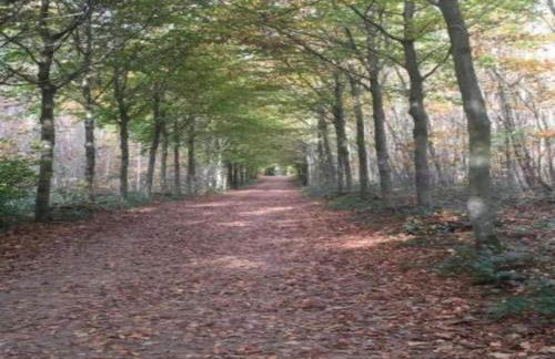 Walk to Pointe du Raz & Beach - Foto 40