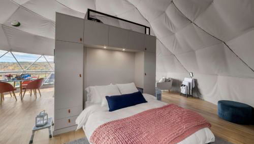 'The Bear Dome' with Barrel Hot Tub in Franklin - Foto 5