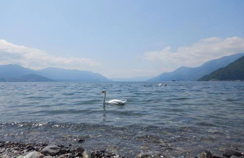 Green Relax in Maccagno - Foto 18