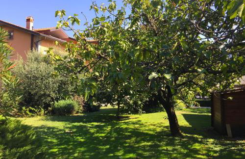 IRIS 2 lago di Como - Foto 47