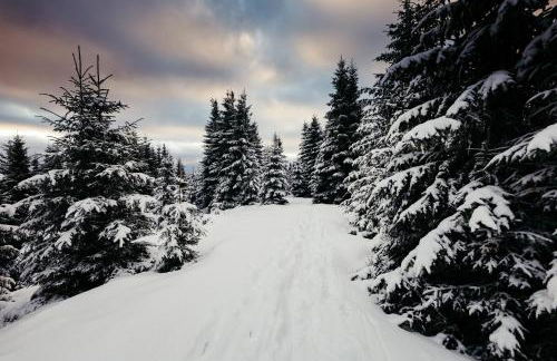 Zum Struffelt - Foto 8