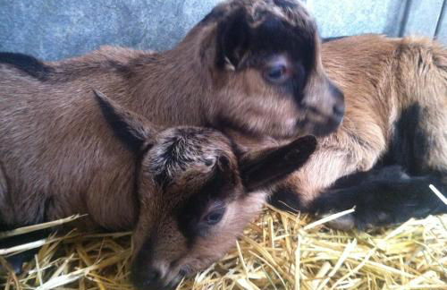 Agriturismo SPA Serpanera - Photo 78