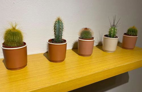 Walnut Apartment Larne - Foto 13