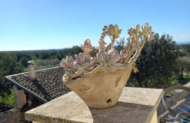 Scicli Città felice - Foto 31