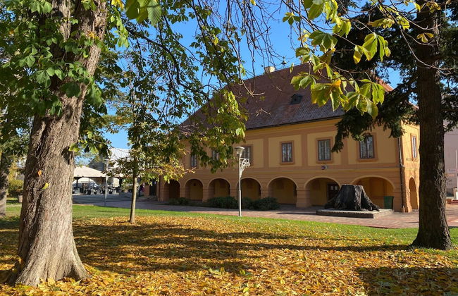 Rustic Cottage With Heated Pool - Photo 29