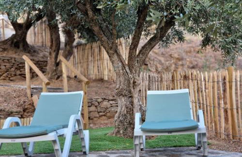 maison du olival - Foto 17