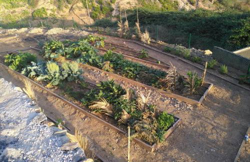 Sustainable Rural House La Lisa Dorada - Foto 28