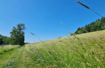 Ferienhaus Romy - Photo 26