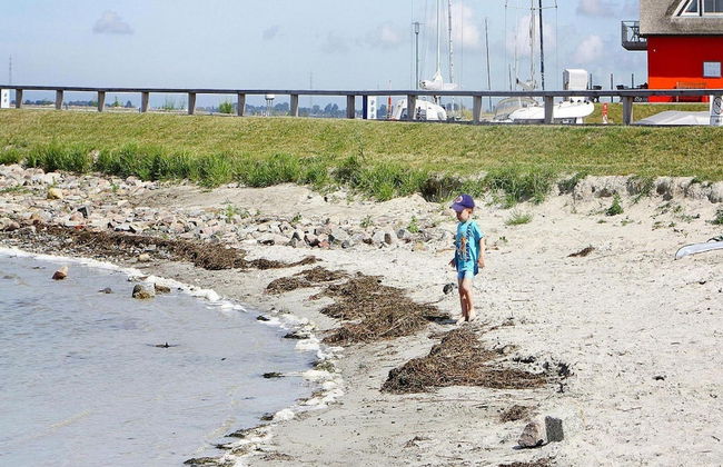 Holiday Home Lotsenhaus am Breetzer Bodden - Photo 20