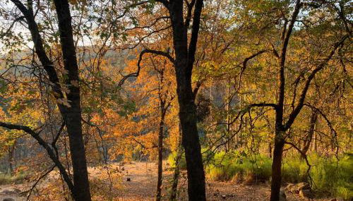 Beautiful Quiet Mountain Getaway, Amazing Views - Foto 5