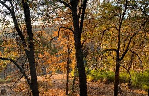 Beautiful Quiet Mountain Getaway, Amazing Views - Foto 5