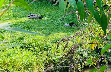 Studio 12 Proche Centre Ville avec Wifi Parking Troyes - Foto 11