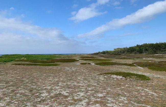 Cozy Retreat in Rorvig Haven-by Traum - Foto 3