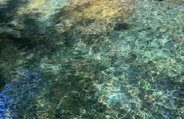 La Bergerie Marie - Photo 22