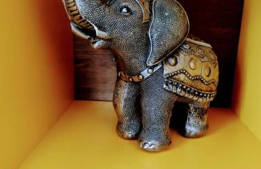 Recanto Canoa Pequena - Foto 23