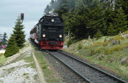 Ferienwohnung Gerken - Foto 13