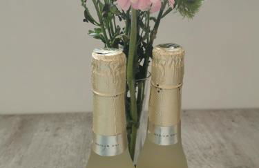 Apartment bei der Palme mit Sauna Möglichkeit - Foto 5