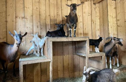 Apartment Drexler by Interhome - Foto 40