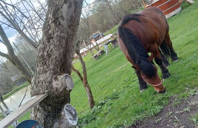 Room in Guest Room - Cozy Rural Retreat in Roşia Montana - Photo 58