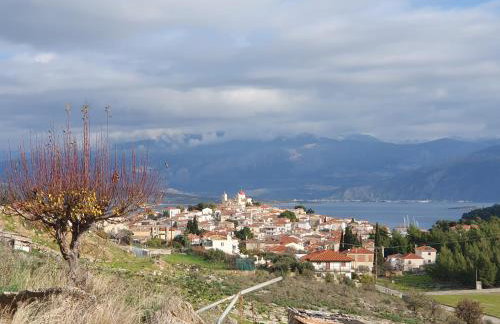 Seabreeze - Photo 11