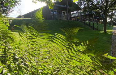 Hollybush Lodges - Foto 11