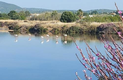 Casa Frajo - Foto 18