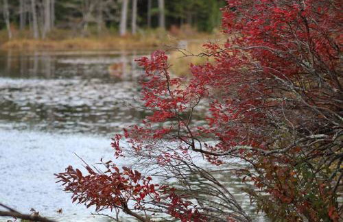 Pet-friendly, secluded, and peaceful pondside home near to Keene and Rindge NH - Foto 24