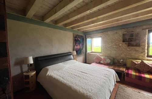 Large villa between Verona and Venice - Photo 29