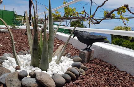 Apartamentos Casa María - Foto 45