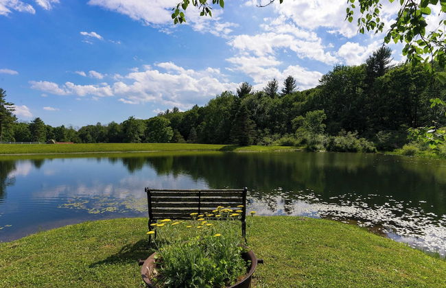 Secluded Berkshires Estate + Private Pond/pool,theater, Gym Sunny Pond - Foto 44