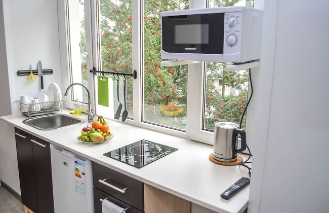 Norke Novoryazanskaya - Photo 15