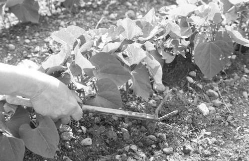 Villa Maria - Foto 22