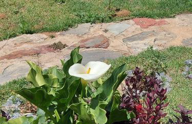 Loft Ostara - Foto 25