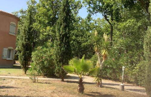 La Morandiere - Foto 6