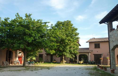 Tadinum Romana - Foto 75