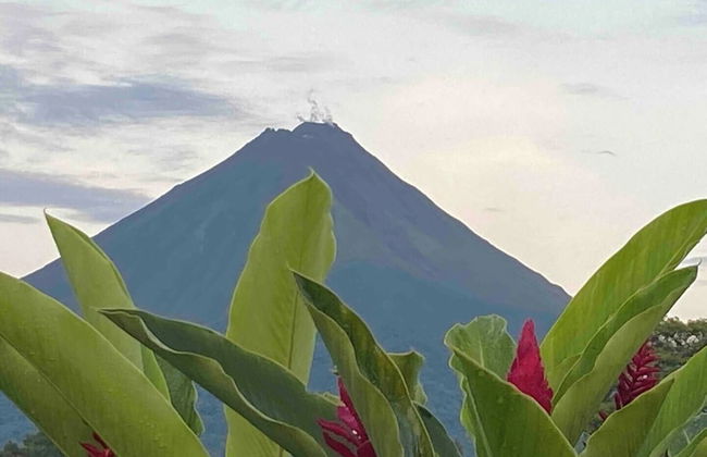 Cabañas Kwepal Costa Rica - Foto 30