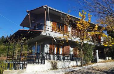 Villa Dremissa - Foto 56