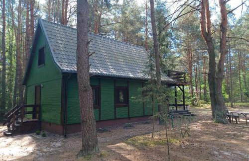 Wilga - klimatyczny domek z 2 tarasami - Foto 3