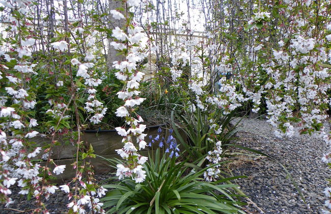 Lake Hamilton Motor Village & Caravan Park - Photo 41