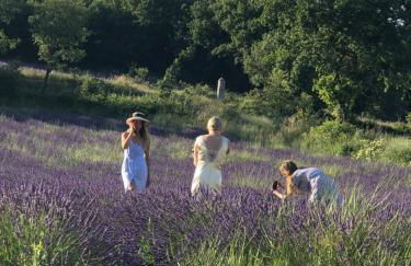 Luberon Provence Swimming pool Terrace View for 2 - Foto 24