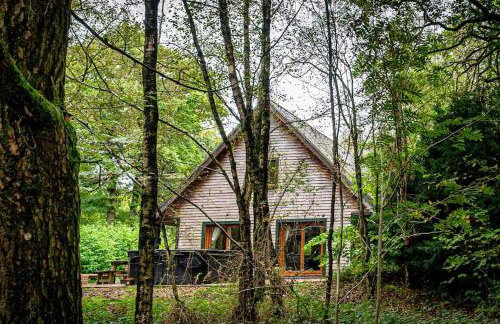 Denstone, woodland lodge with hot tub for 8 - Foto 37