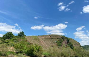 Weingut Schumacher - mit privatem Saunabereich - Foto 64