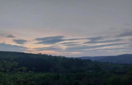 Owl Cabin - Photo 48