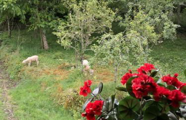 LA PANDELA - Foto 44