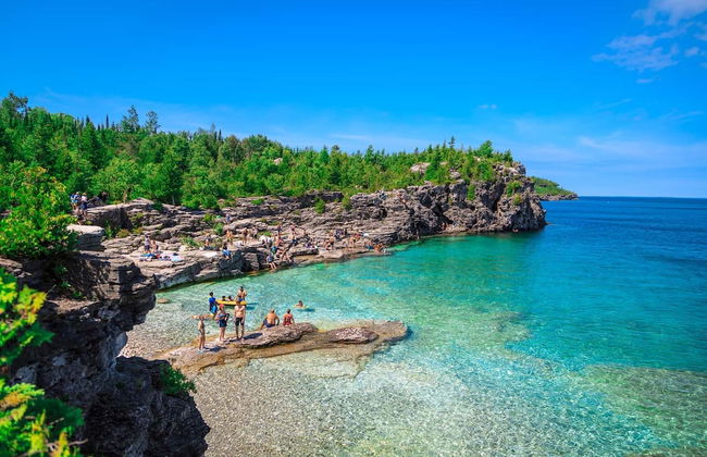 Cozy Cabin in the Forest - Foto 1