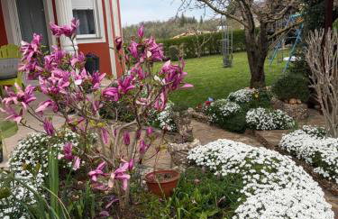 apartma Jelka - Foto 47