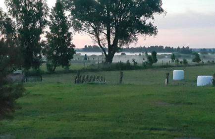 Magico Posto - Foto 38