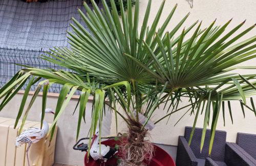 Gîte les Dahlias - Photo 19